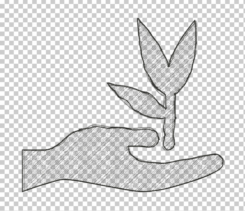 Herbal Icon Hand And Leaf Icon Relaxing Resort Icon PNG, Clipart, Angle, Black, Black And White, Geometry, Herbal Icon Free PNG Download