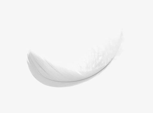 Falling White Feathers PNG, Clipart, Falling, Falling Clipart, Falling Feathers, Falling White Feathers, Feather Free PNG Download