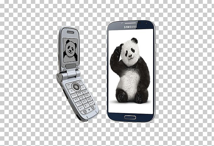Feature Phone Mobile Phone Accessories Multimedia IPhone Cellular Network PNG, Clipart, Animal, Cellular Network, Communication Device, Electronic Device, Electronics Free PNG Download