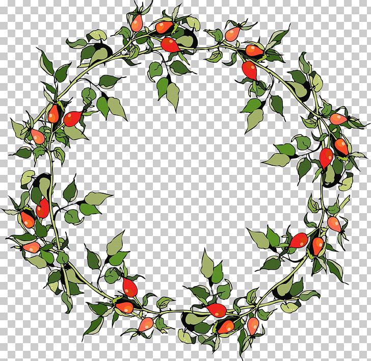Food Leaf Decor PNG, Clipart, Aquifoliaceae, Branch, Christmas Decoration, Coreldraw, Decor Free PNG Download