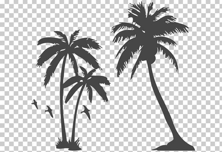 Arecaceae Tattoo Tree Sabal Palm PNG, Clipart, Arecaceae, Arecales, Black And White, Borassus Flabellifer, Branch Free PNG Download