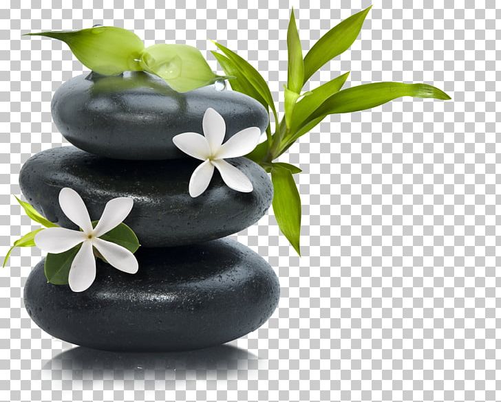 Lotion Stone Massage Day Spa PNG, Clipart, Alternative Medicine, Cosmetics, Cream, Day Spa, Flowerpot Free PNG Download