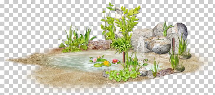 Water Resources PNG, Clipart, Aquarium Decor, Download, Encapsulated Postscript, Floral Design, Flower Free PNG Download