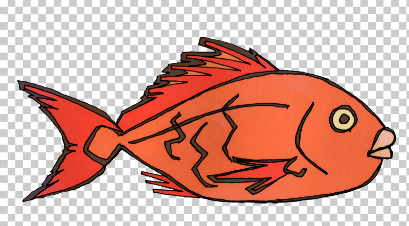 Cartoon Fish Science Biology PNG, Clipart, Biology, Cartoon, Fish, Science Free PNG Download