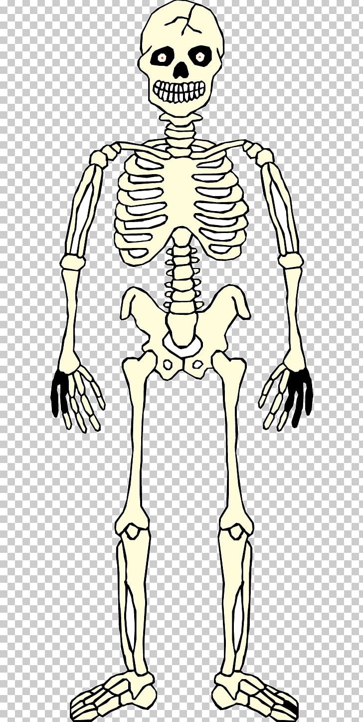 Homo Sapiens Skeleton Hand Human Anatomy Human Body PNG, Clipart, Anatomy, Arm, Art, Black And White, Bone Free PNG Download