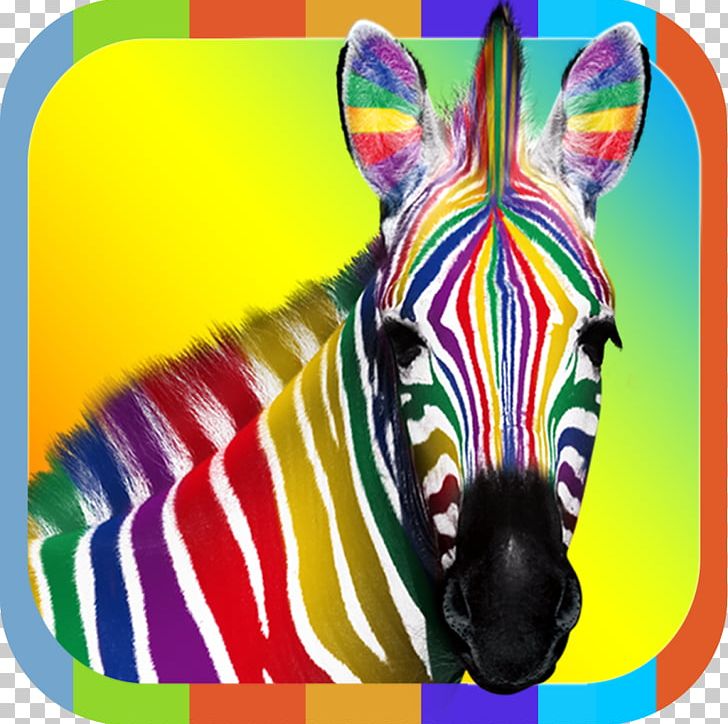 IPhone 4S Desktop Zebra PNG, Clipart, Animals, Computer Software, Desktop Wallpaper, Horse Like Mammal, Iphone Free PNG Download
