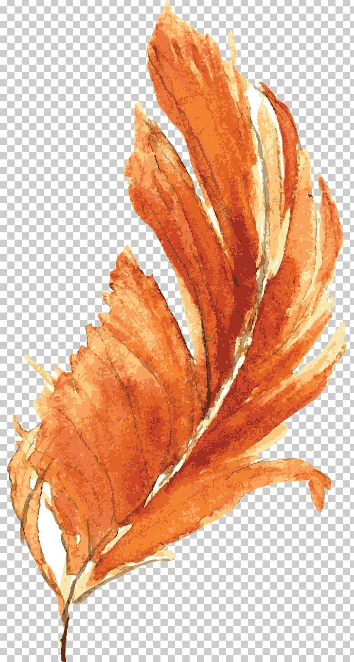 Orange Watercolor Painting Drawing PNG, Clipart, Animals, Color, Drawing, Drawing Vector, Feather Free PNG Download