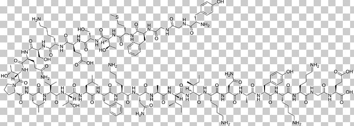 Endorphins Beta-Endorphin Neuropeptide Hormone Neurotransmitter PNG, Clipart, Angle, Area, Betaendorphin, Black, Black And White Free PNG Download