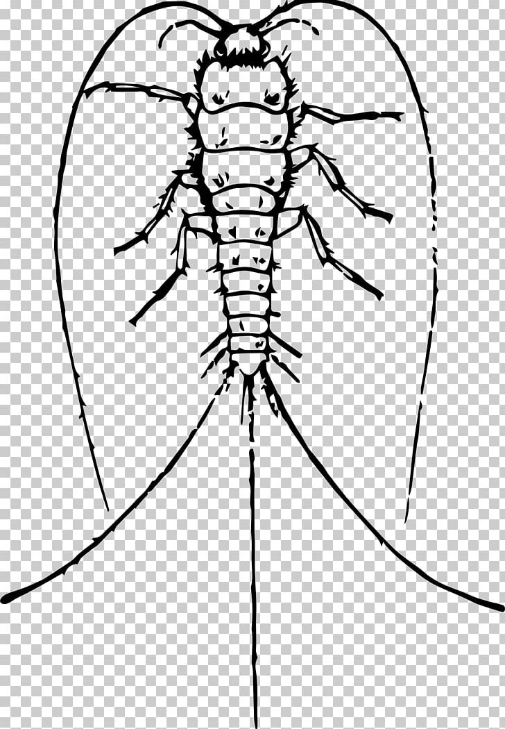 Insect Drawing Silverfish PNG, Clipart, Angle, Animals, Artwork, Black And White, Bug Free PNG Download