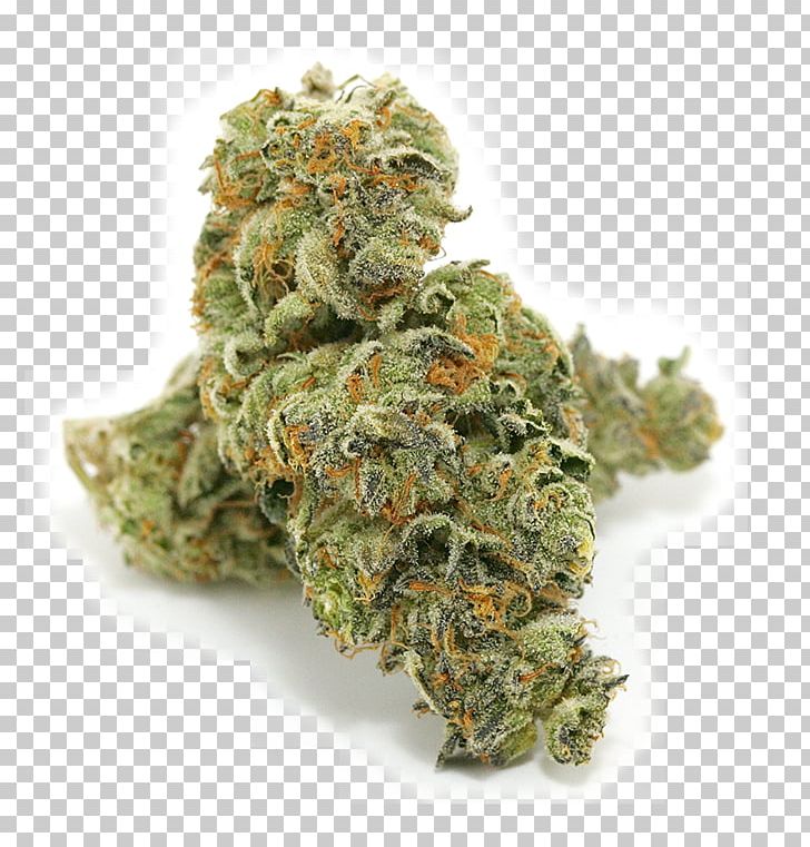 Medical Cannabis Kush Dispensary Cannabis Shop PNG, Clipart, Cannabidiol, Cannabis, Cannabis Culture, Cannabis In California, Cannabis Sativa Free PNG Download