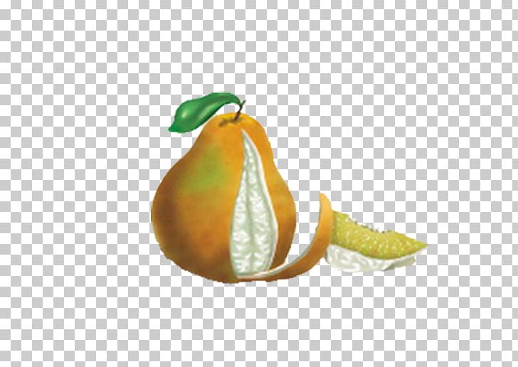 Tangelo Pomelo Grapefruit Clementine Orange PNG, Clipart, Cartoon, Citric Acid, Citrus, Clementine, Computer Wallpaper Free PNG Download