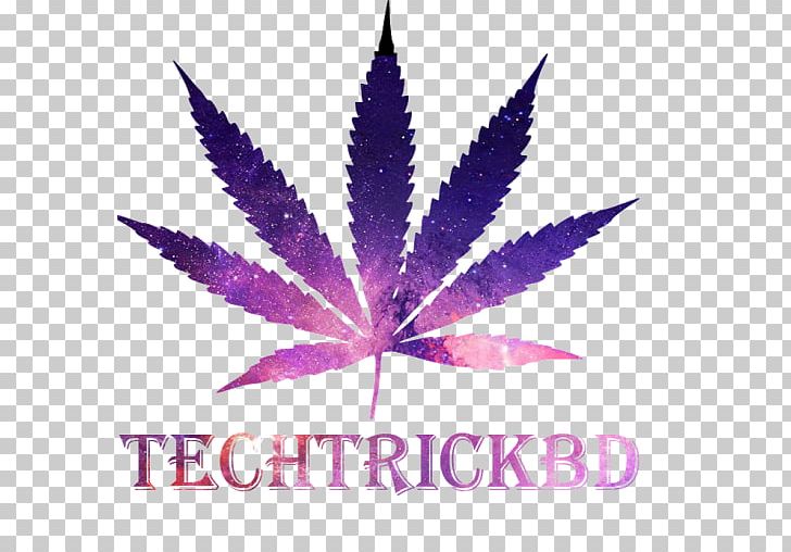 Cannabis Sativa Graphics Illustration PNG, Clipart, Cannabidiol, Cannabis, Cannabis Sativa, Cannabis Smoking, Hash Oil Free PNG Download
