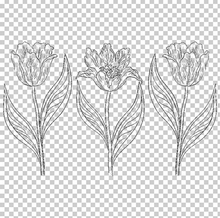 Drawing Tulip Photography Flower Sketch PNG, Clipart, Abstract Lines, Artwork, Black, Branch, Chinese Style Free PNG Download