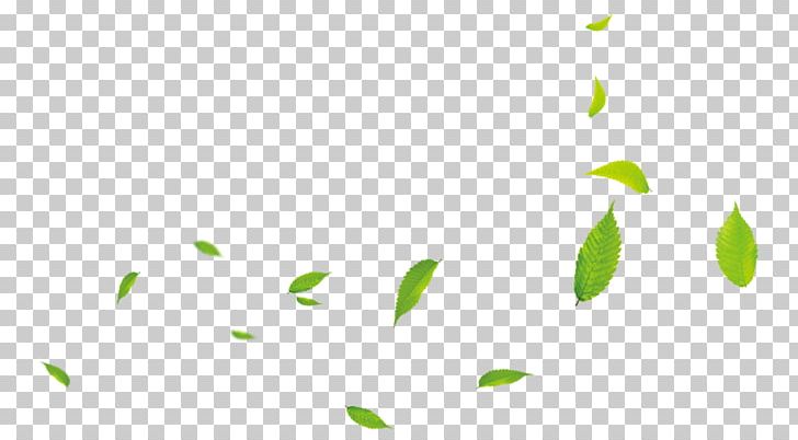Leaf Petal Light PNG, Clipart, Branch, Computer Wallpaper, Element, Flora, Grass Free PNG Download