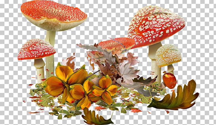 Mushroom Autumn PNG, Clipart, Animation, Autumn, Clip Art, Download, Drawing Free PNG Download