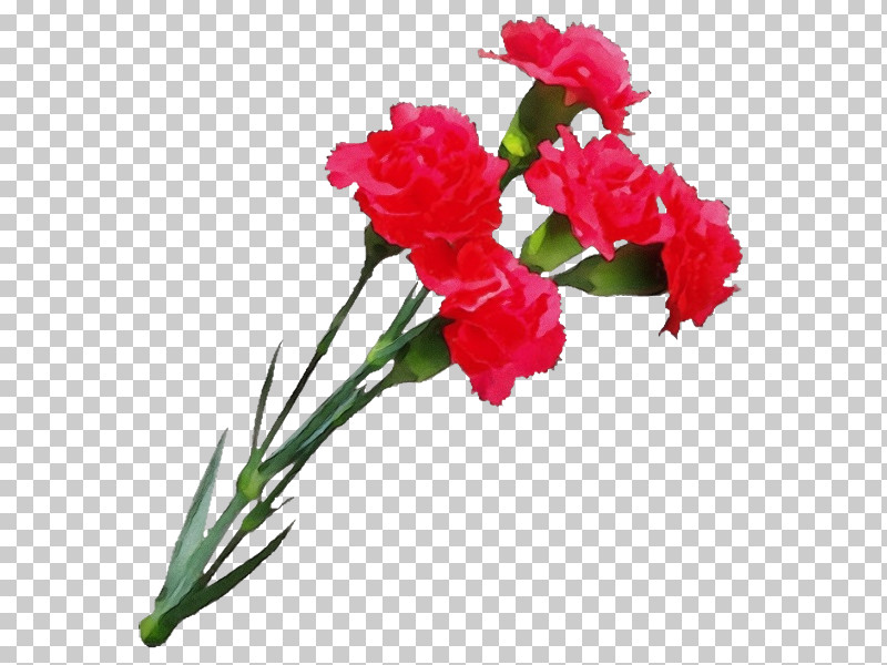 Floral Design PNG, Clipart, Carnation, Cut Flowers, Floral Design, Flower, Garden Roses Free PNG Download
