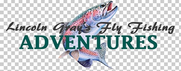 Bryan College Of Health Sciences Fly Fishing Angling PNG, Clipart, Academic Degree, Adventure, Advertising, Angling, Banner Free PNG Download