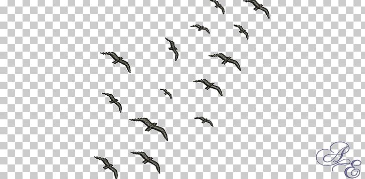 Flocking Bird Migration Swarm Behaviour PNG, Clipart, Animal Migration, Animals, Art Of, Beak, Bird Free PNG Download