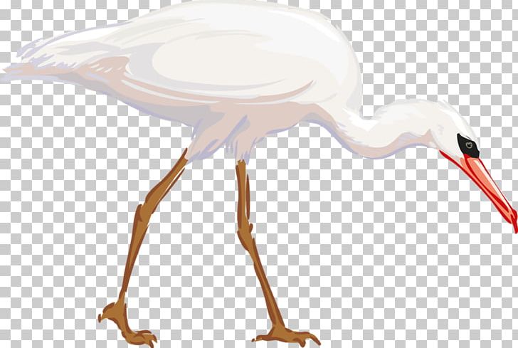 Heron Bird Great Egret PNG, Clipart, Animals, Beak, Bird Cage, Birds, Cattle Egret Free PNG Download