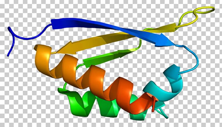 PCBP1 PCBP2 Gene Cell Protein PNG, Clipart, Antibody, Cell, Dna, English, Eukaryote Free PNG Download