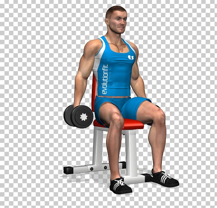 Weight Training Front Raise Dumbbell Exercise Rear Delt Raise PNG, Clipart,  Free PNG Download