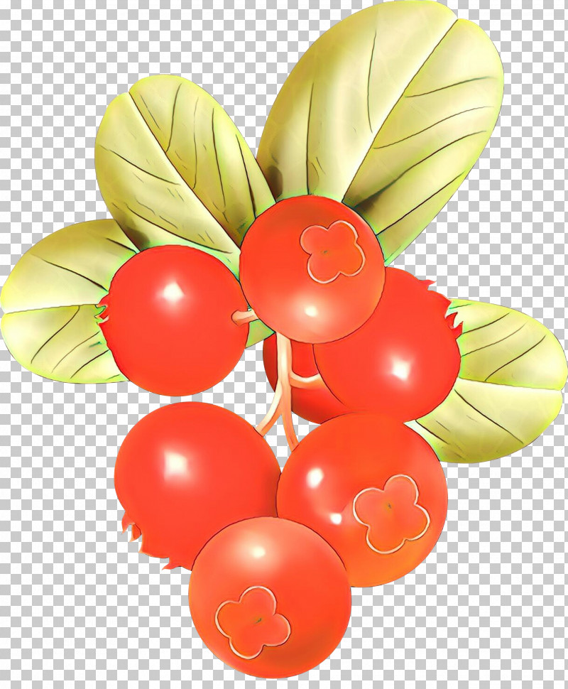Balloon Plant Fruit Party Supply Currant PNG, Clipart, Balloon, Berry, Currant, Fruit, Party Supply Free PNG Download