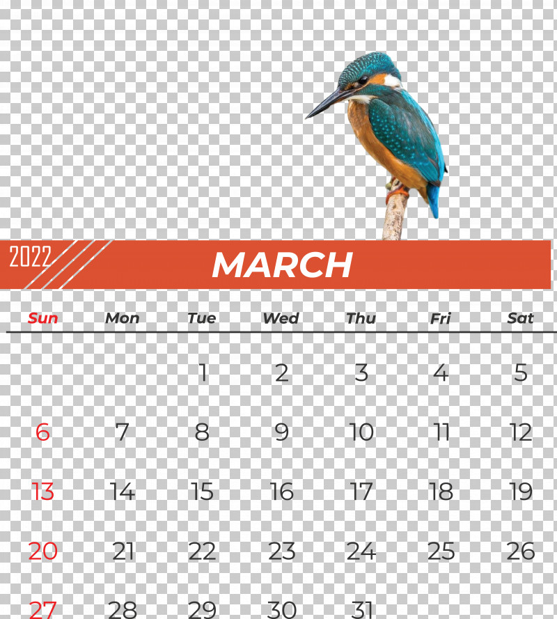 Birds Beak Calendar Font Meter PNG, Clipart, Beak, Biology, Birds, Calendar, Meter Free PNG Download