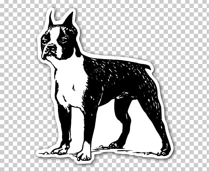 Boston Terrier Bull Terrier Scottish Terrier Irish Terrier Rat Terrier PNG, Clipart, Black And White, Boxer, Bulldog, Bull Terrier, Cairn Terrier Free PNG Download