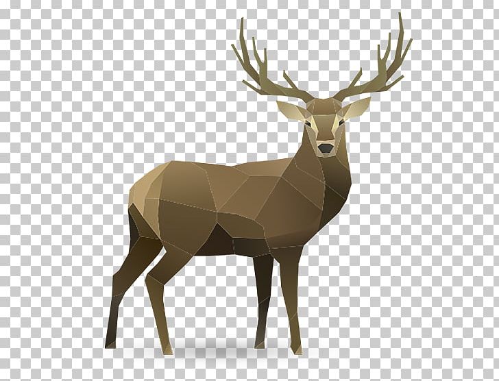 Deer PNG, Clipart, Animals, Antler, Art, Cerf, Creative Market Free PNG Download