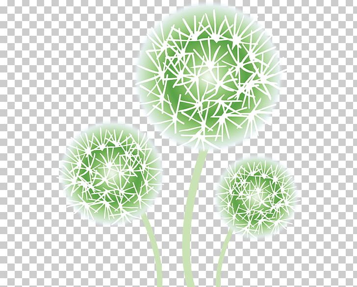 Flower Dandelion Lossless Compression PNG, Clipart, Dandelion, Data Compression, Desktop Wallpaper, Download, English Free PNG Download