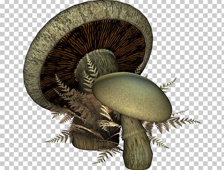 Hot Pot Mushroom 3D Computer Graphics Icon PNG, Clipart, 3d Computer Graphics, Agaricaceae, Download, Encapsulated Postscript, Euclidean Vector Free PNG Download