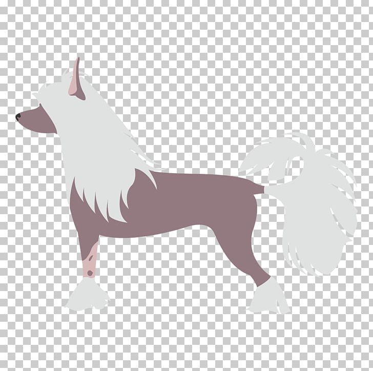Dog Breed Maltese Dog Chinese Crested Dog Pekingese PNG, Clipart, Breed, Carnivoran, Chinese Crested Dog, Chino, Dog Free PNG Download