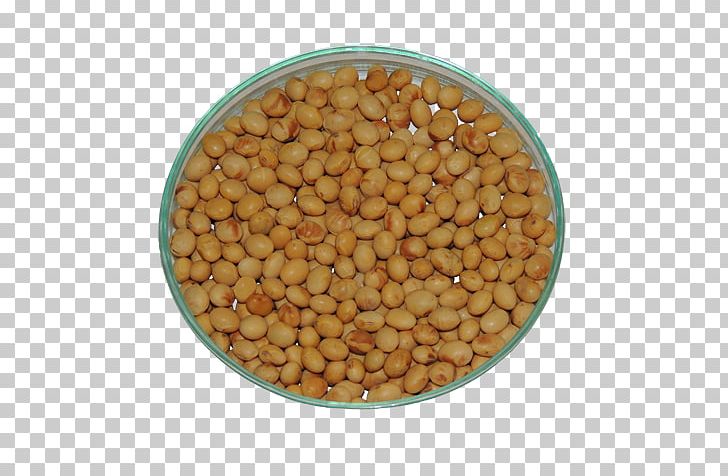 Donskaya Soya Lentil Vegetarian Cuisine Soybean Seed PNG, Clipart, Bean, Commodity, Cultivar, Food, Ingredient Free PNG Download