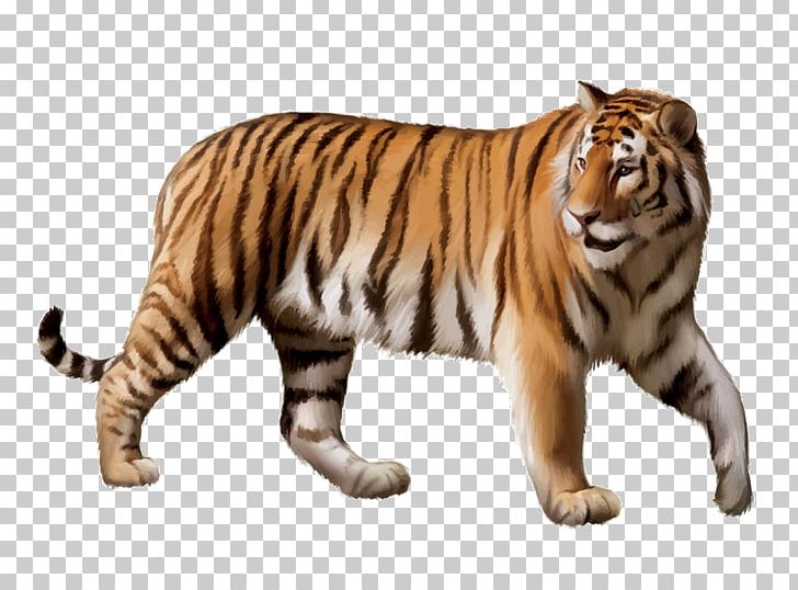 Siberian Tiger White Tiger Animal PNG, Clipart, Animal, Animal Figure, Big Cats, Carnivoran, Cat Like Mammal Free PNG Download
