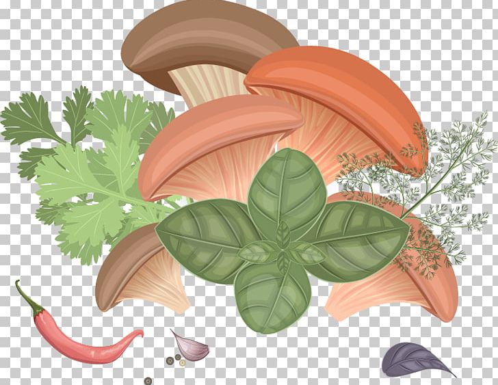 Edible Mushroom Common Mushroom Fungus PNG, Clipart, Boy Cartoon, Cartoon, Cartoon Character, Cartoon Cloud, Cartoon Couple Free PNG Download