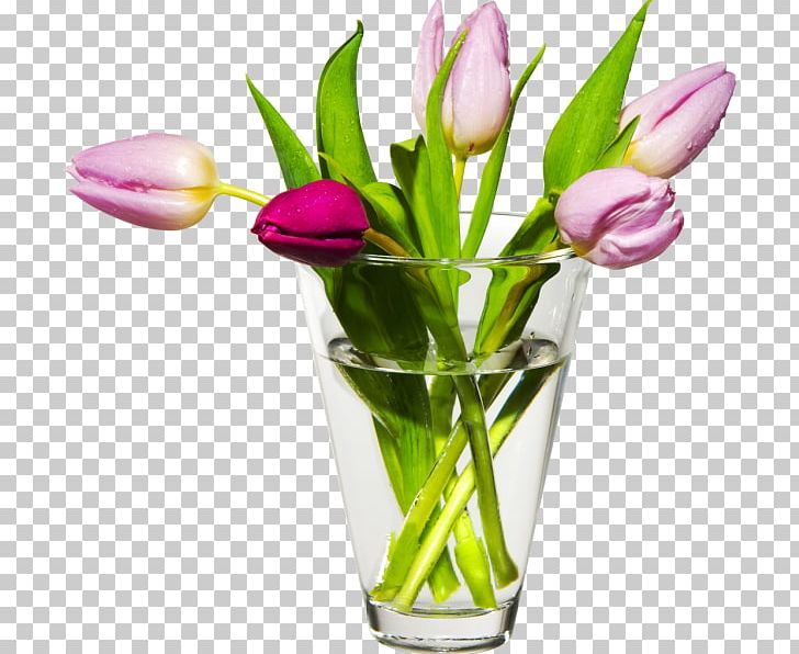 Steklarna Hrastnik PNG, Clipart, Bud, Cut Flowers, Floral Design, Floristry, Flower Free PNG Download