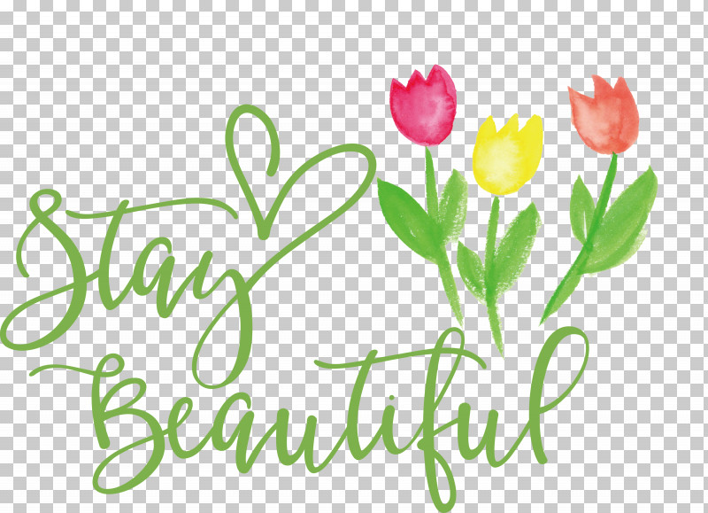 Stay Beautiful Fashion PNG, Clipart, Biology, Cut Flowers, Fashion, Floral Design, Flower Free PNG Download