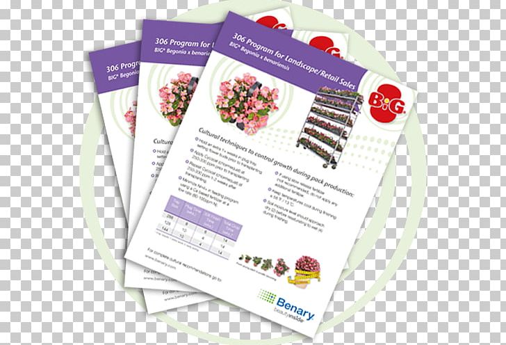 Advertising Brand Brochure PNG, Clipart, Advertising, Brand, Brochure, Pentas Lanceolata Free PNG Download