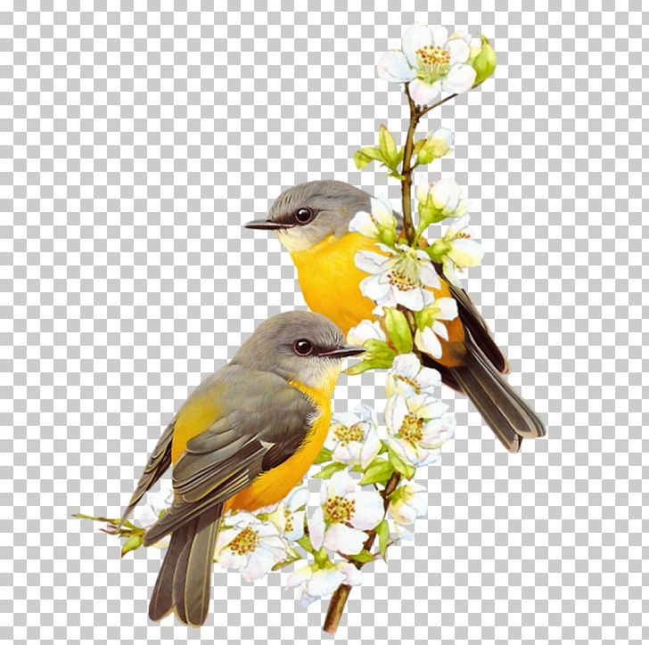 Bird Watercolor Painting PNG, Clipart, Animals, Art, Beak, Bird, Bird Supply Free PNG Download