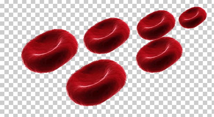 Red Blood Cell Alveolar Cells Pulmonary Alveolus PNG, Clipart, Blood, Blood Cell, Capillary, Carbon Dioxide, Cell Free PNG Download