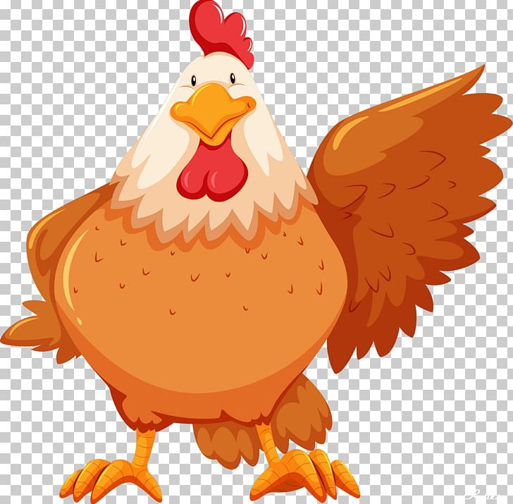 Chicken Stock Photography PNG, Clipart, Animals, Beak, Bird, Chicken, Chicken Meat Free PNG Download