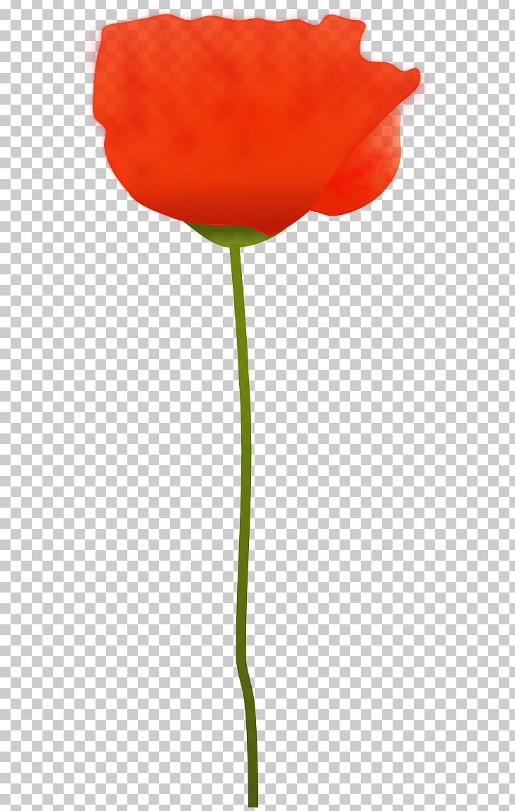 Common Poppy Remembrance Poppy PNG, Clipart, Common Poppy, Coquelicot, Cut Flowers, Desktop Wallpaper, Flower Free PNG Download