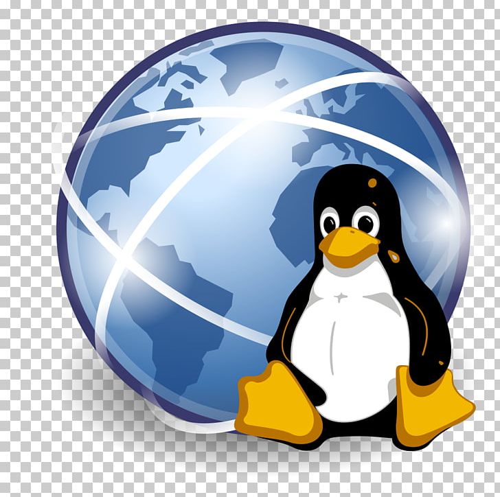 Linux Installation Operating Systems Disk Partitioning Ubuntu PNG, Clipart, Beak, Bird, Computer Software, Computer Wallpaper, Disk Partitioning Free PNG Download