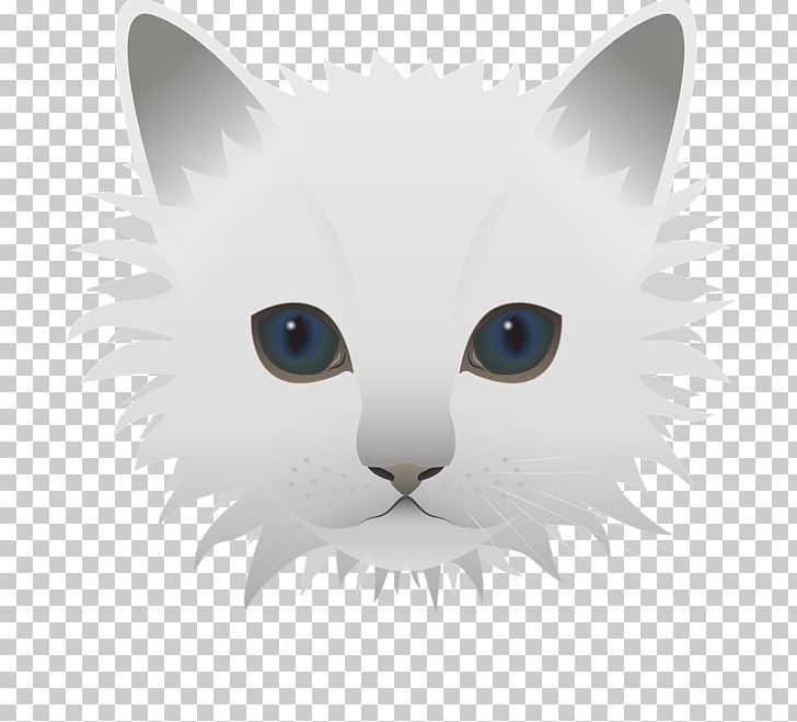 Kitty Cats Kitten PNG, Clipart, Android, Animals, Background White, Black Cat, Black White Free PNG Download