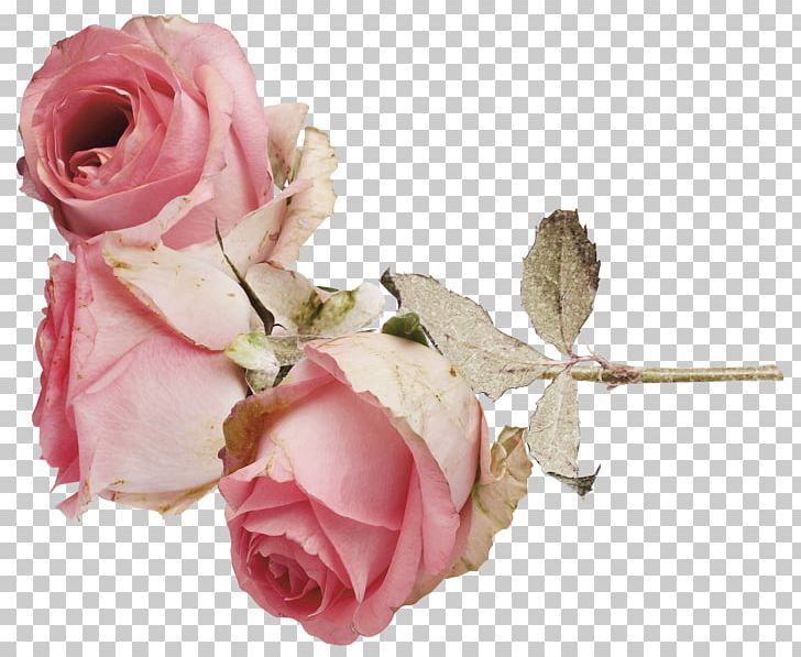 Flower Arranging Photography Others PNG, Clipart, Adobe Imageready, Artificial Flower, Cut Flowers, Floral Design, Floristry Free PNG Download