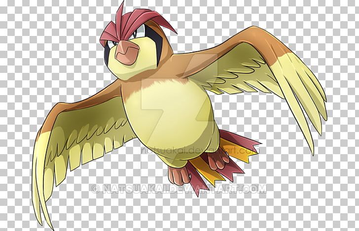 Pidgeotto Pokémon X And Y Pokédex PNG, Clipart, Anime, Art, Beak, Bird, Bird Of Prey Free PNG Download