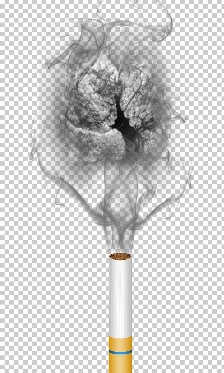 Smoking Ban Smoke PNG, Clipart, Bla, Black Smoke, Encapsulated Postscript, Flower, Lung Free PNG Download