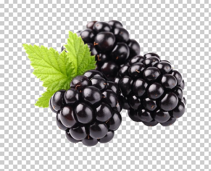 Blackberry Fruit Portable Network Graphics Food PNG, Clipart, Berry, Bilberry, Blackberry, Blueberry, Boysenberry Free PNG Download