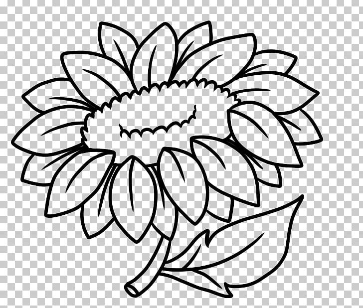 Floral Design Line Art Drawing Cut Flowers PNG, Clipart, Artwork, Black, Black And White, Circle, Cut Flowers Free PNG Download