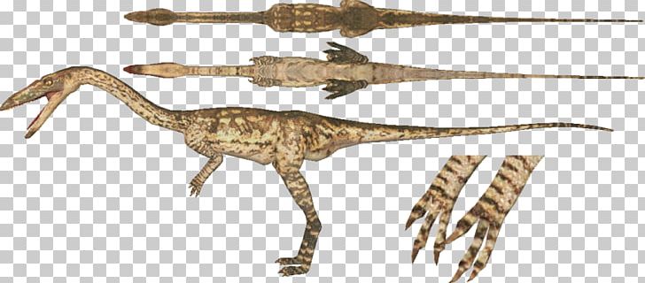 Zoo Tycoon 2 Velociraptor Coelophysis Torosaurus Brachiosaurus PNG, Clipart, Animal Figure, Animatronics, Ankylosaurus, Beak, Brachiosaurus Free PNG Download